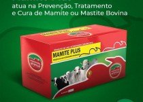 Infecções do Úbere e Mastite Bovina: como evitar.
