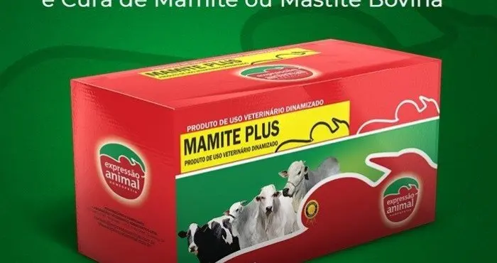 Infecções do Úbere e Mastite Bovina: como evitar.