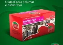 SODOMIA BOVINA: CONTROLE, REDUÇÃO E PREVENÇÃO 100% NATURAL