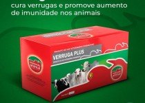 Verruga em Boi: saiba como eliminar.