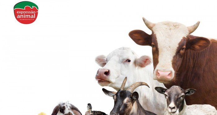 Quais as vantagens do uso de medicamentos homeopáticos para bovinos? 