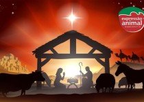Feliz Natal - Expressão Animal