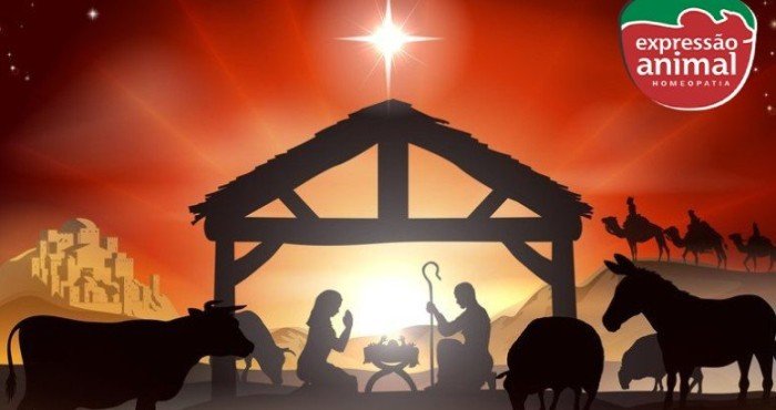 Feliz Natal - Expressão Animal