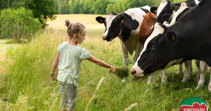 Principais problemas na pecuária solucionados com homeopatia veterinária