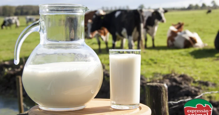 Quais as vantagens dos tratamentos homeopáticos para mastite em vacas leiteiras