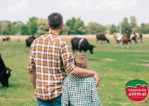 Principais problemas na pecuária que podem ser resolvidos com homeopatia