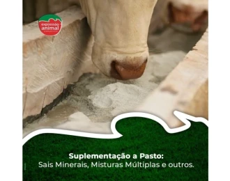 Como Aplicar o Parasito Plus: Dicas e Cuidados no Uso