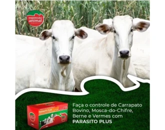 Tipos de Parasitas Combatidos pelo Parasito Plus