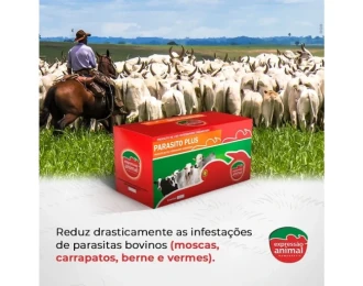 Resultados Comprovados: Estudos de Caso com Parasito Plus