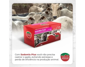 Casos de Sucesso no Controle da Sodomia Bovina