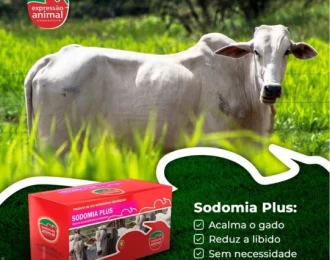 Métodos Tradicionais e Naturais no Controle da Sodomia Bovina