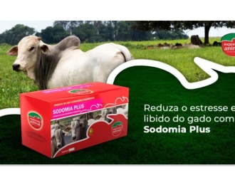 Homeopatia no Controle da Sodomia Bovina: Como Funciona?