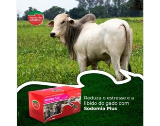 Impacto Econômico do Controle da Sodomia Bovina no Rebanho