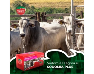 Como Monitorar e Controlar a Sodomia Bovina com Tecnologia