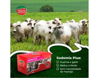 Como Escolher o Método Ideal para Controlar a Sodomia Bovina