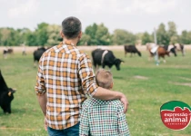 Homeopatia previne e trata as doenças da pecuária moderna: veja as principais