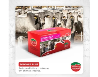 Perguntas Frequentes sobre Sodomia Bovina