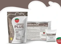 Dermatite digital em bovinos: causas e tratamento