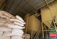 Como agregar valor ao sal mineral e aumentar a rentabilidade da sua marca