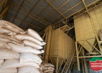 Como agregar valor ao sal mineral e aumentar a rentabilidade da sua marca
